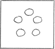 two dimentional creatures